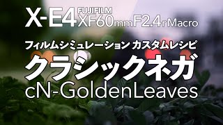 FUJIFILMフィルムシミュレーション｜クラシックネガ cN-GoldenLeavesのカスタム設定レシピ紹介