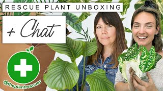 Houseplant RESCUE With @ThePlantRescuer  Plant Unboxing + Chat With Sarah GerrardJones
