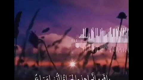 اجمل تلاوة تقشعر الأبدان{وقال الذي أمن ياقوم اتبعون اهديكم سبيل الرشاد}