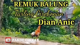 Dian anic - Remuk balung (Tarling Cirebonan)