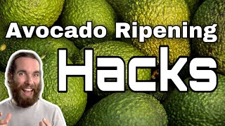 Avocado Ripening Hacks - Tips And Tricks For Getting The Perfectly Ripe Avocado