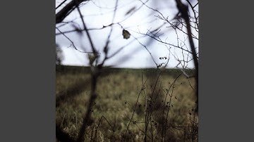 How Can You Drag Your Body Blindly Through