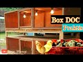 Kandang DOC | Kandang box anak ayam joper, ayam kampung, ayam baru menetas yang Praktis