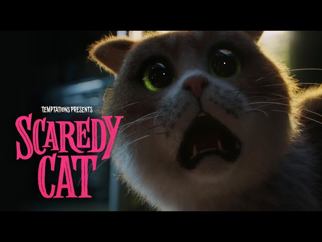 SCAREDY CAT THE MOVIE 