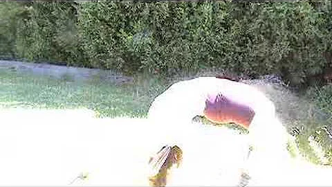 circus girl walk over