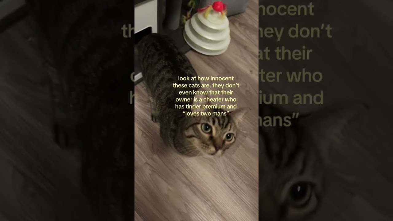 Cheaters hate us. You’ll love us.Go to Cheater Buster AI! and test your partner