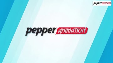 Course Information of The Pepper Animation Institute | Best Graphics Institute in Rohini, Delhi