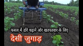 देसी जुगाड़ कपास की फसल में डोरे डालना और खतपतवार हटाने का तरीका | Cotton Crops Weed Control