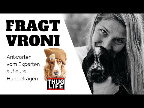 Video: Fragen Sie einen Hundetrainer: Sollte mein Hund eine Wahl haben?