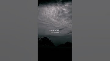 تلاوه هادئ تطمئن لها القلوب من سوره " الغاشيه " ✨💛 | القارئ عبدالرحمن مسعد 🥀❤