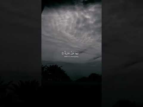 تلاوه هادئ تطمئن لها القلوب من سوره الغاشيه القارئ عبدالرحمن مسعد