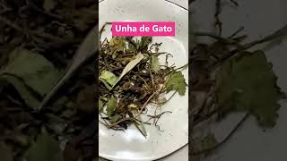 Comente Junho Aqui Embaixo E Entre No Grupo Exclusivo No Dia 0506, O Maior Programa De Trat
