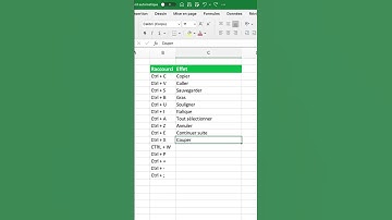Les 15 raccourcis les plus importants pour gagner du temps sur Excel !