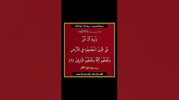 سورة القصص سورة 28 اية 05 