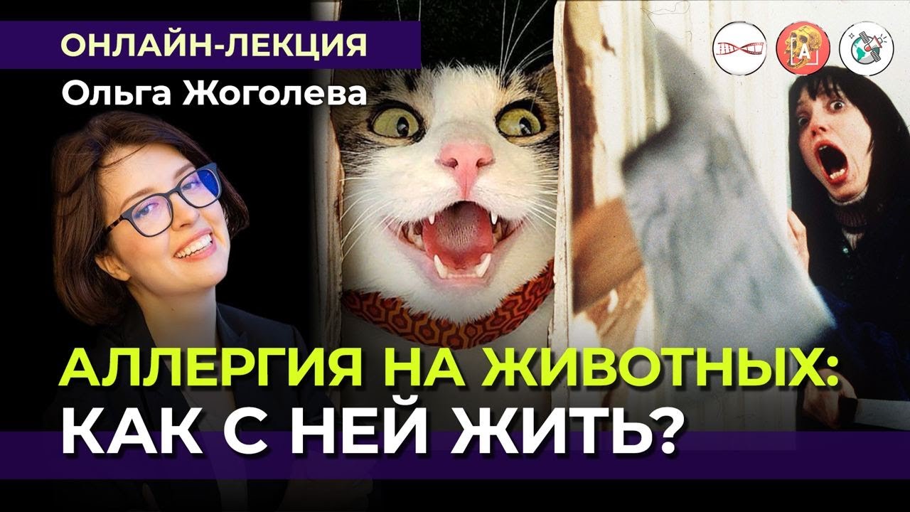 «Аллергия на животных: как с ней жить?». Ольга Жоголева #Онлайн_лекция