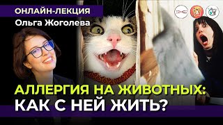 «Аллергия На Животных: Как С Ней Жить?». Ольга Жоголева #Онлайн_Лекция