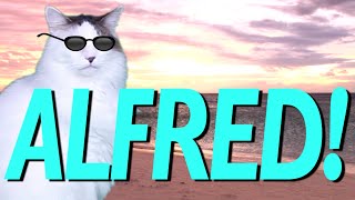 HAPPY BIRTHDAY ALFRED! - EPIC CAT Happy Birthday Song