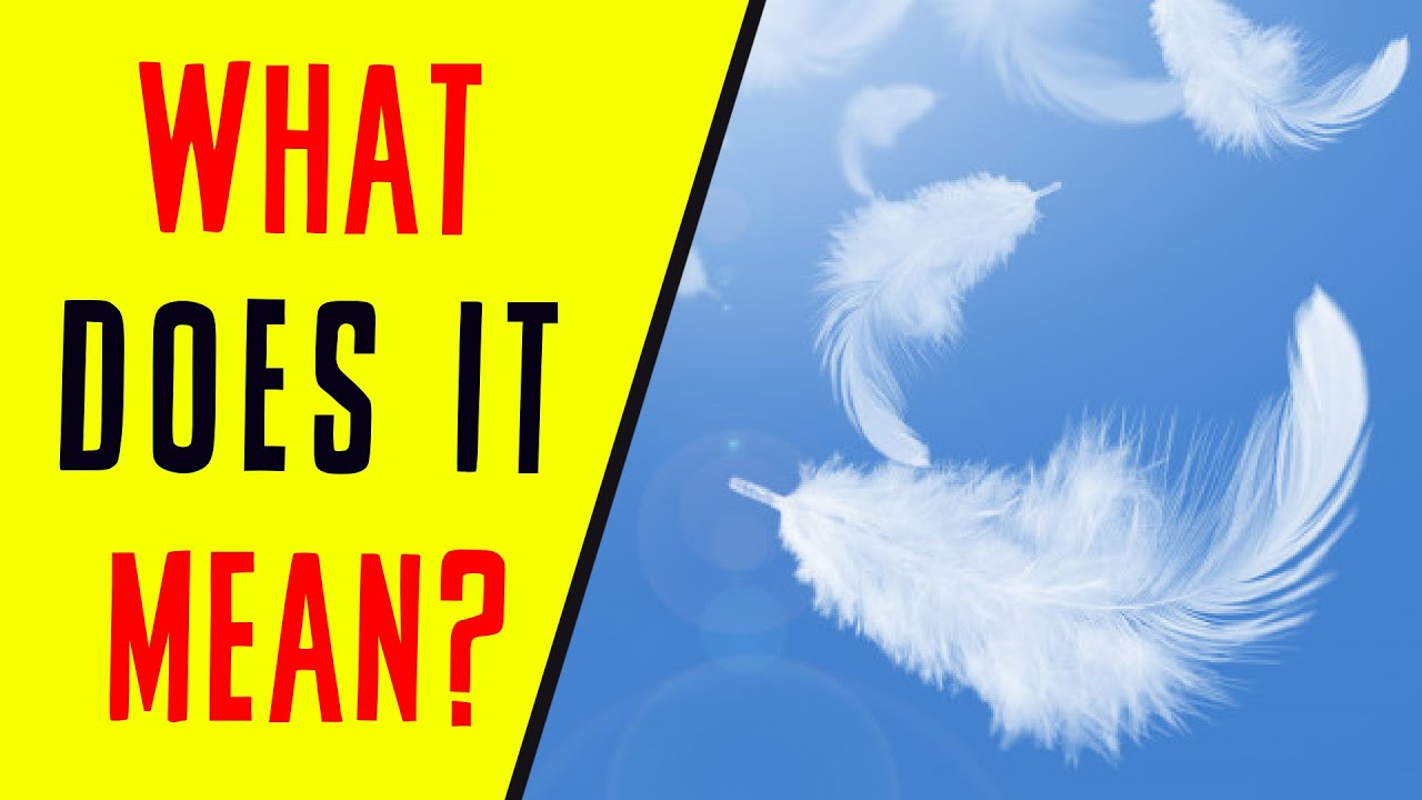 What is the significance of finding a white feather near you? - Quora