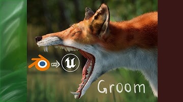 Заметки по Groom  Blender Unrial Engine