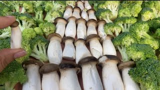 I can eat this broccoli every day! Recipe for broccoli and mushrooms in a frying pan. Delicious!