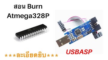 สอน Burn Atmega328P ด้วย USBASP Arduino Standalone (แบบละเอียด)