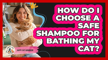 How Do I Choose A Safe Shampoo For Bathing My Cat? - Happy Cat Handbook