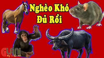 4 Con Giáp Càng Ngày Càng Giàu, Giàu Có Hết Phần Thiên Hạ, Càng Già Càng Giàu, Trúng Số Liên Tục