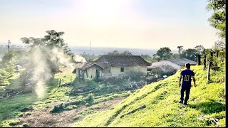 Este sítio ainda conserva esta vida raiz # sítio nas montanhas # Santa Maria do Rio do peixe  pr…