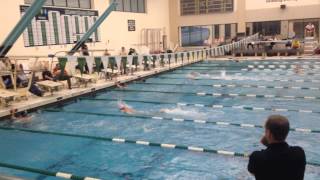 Swimming and Diving Senior Night 2015 (2)