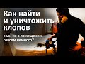 Правильное уничтожение клопов в квартире, пр-т Мира, Москва