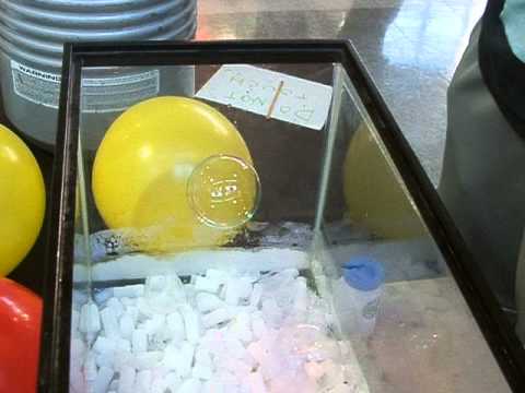 Bubbles FLoating on CO2