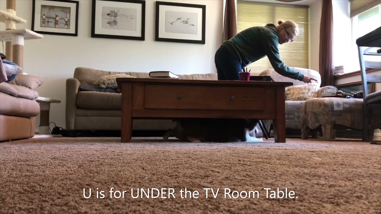 U DMWYD Alphabet Challenge ideas