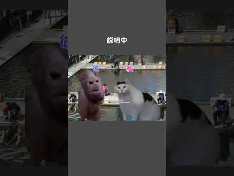 はじめて釣りに行った話 #cat #釣れる #猫ミーム #釣りデート#釣り堀  #猫ミーム日常 #釣り#魚釣り #釣り人