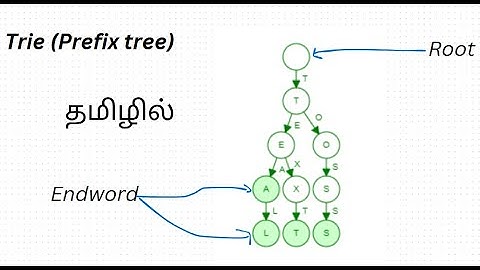Trie Data Structure: An In-Depth Guide to Efficient String Searching in Tamil