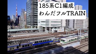 185系 C1編成 新特急色 わんだフルTRAIN ~伊豆高原満喫の旅~ 浜松町を通過する様子