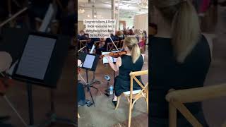 Bridal recessional live from Charlotte NC. Carolina Royal Strings wedding trio#stringcover #marryyou
