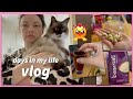 Days in my life vlog | Netflix, cooking &amp; meltdown #dailyvlog ep.5