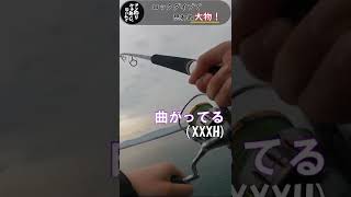 1投で珍客を招き入れる「ロックダイブ」#Shorts