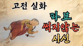 [고전실화] 썩지않는 시신 |  파묘 | 박효랑전 | 삼백년전 묫자리 소송사건  | #고전 #실화 #민담 #전래 #오디오북 #파묘 #묘자리 소송사건