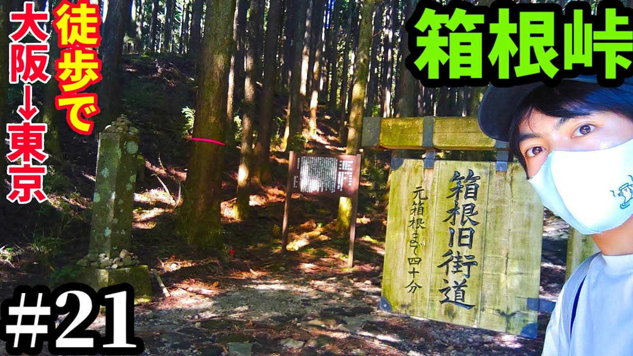 #21【大阪→東京・徒歩の旅】箱根峠を下る…人生最高の道はここだ！/箱根宿→大磯宿