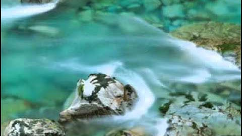 تحفة الأطفال والغلمان في تجويد كلمات القرآن سعد الغامدى