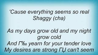 Shaggy - My Dream Lyrics