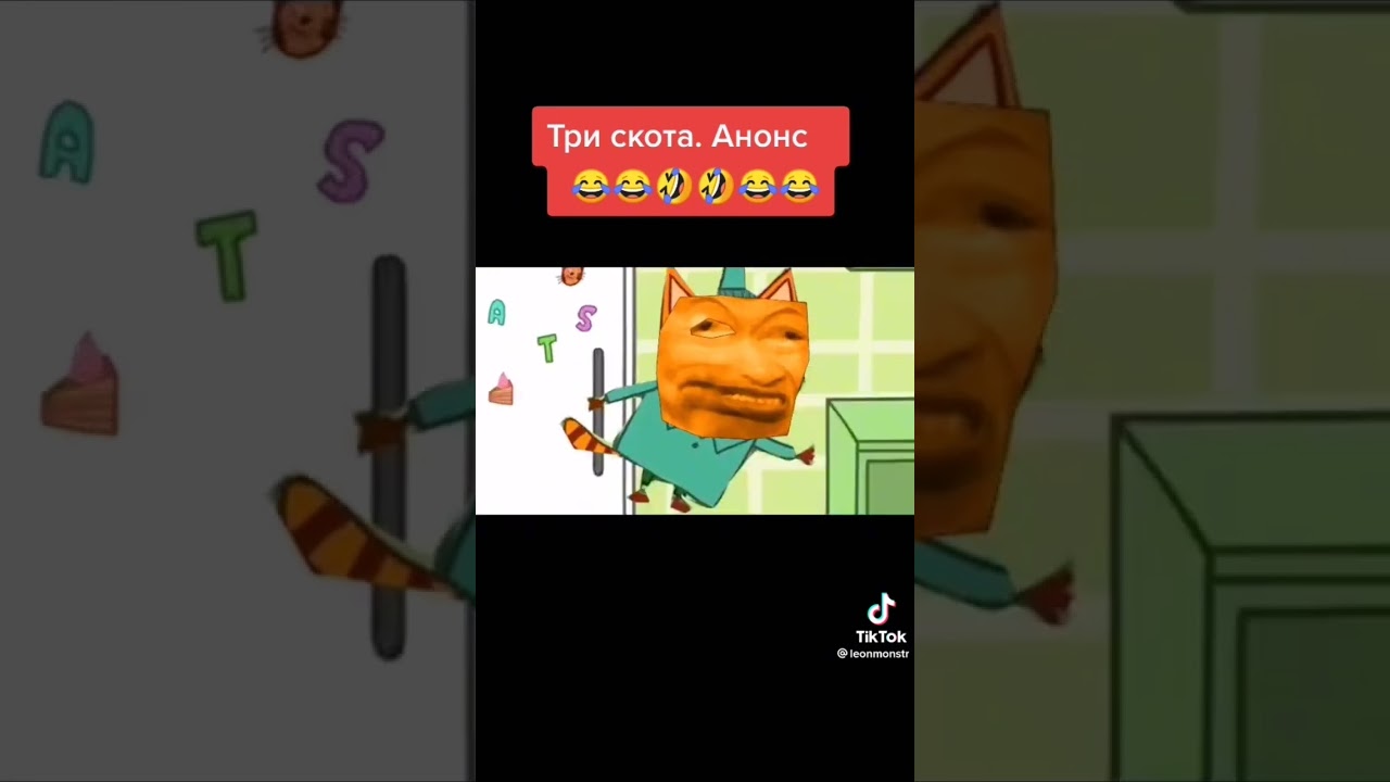 Три скота.Анонса