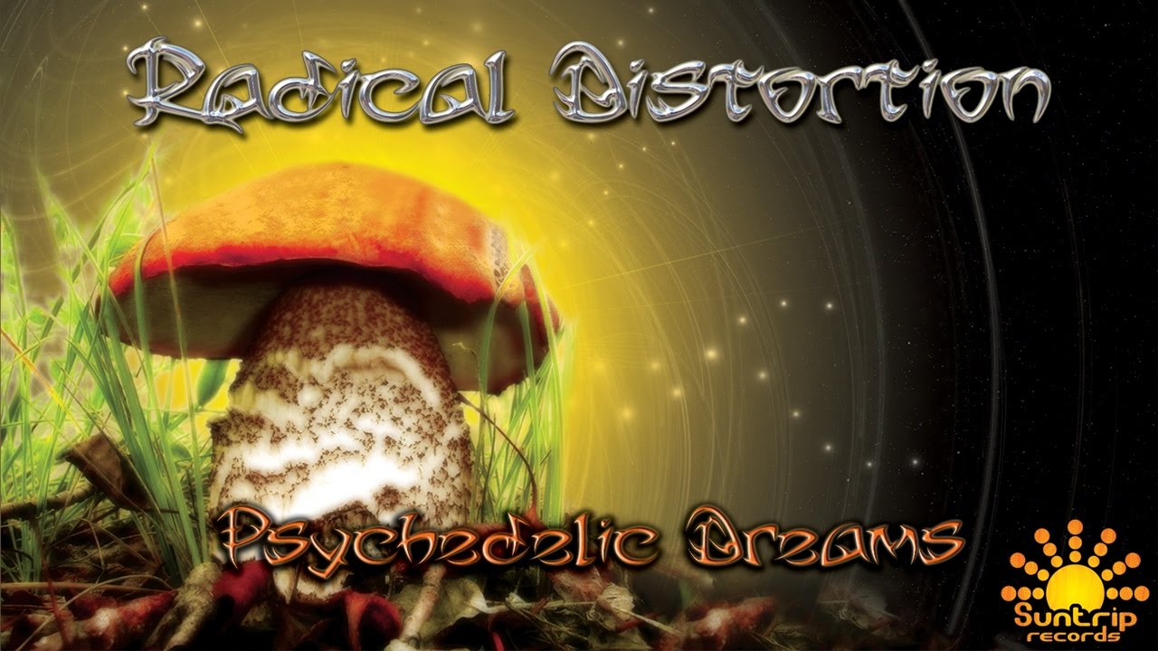 Guarda Radical Distortion - Transparent Joint su YouTube Guarda Radical Distortion - Transparent Joint su YouTube