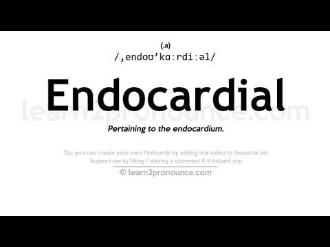 Video: Je li endokardijalni pridjev?