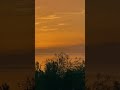 17 мая 2025 г.