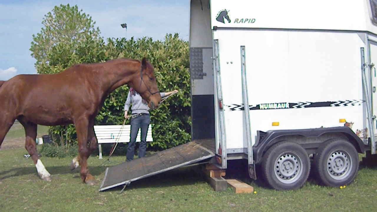 Easy Trailerloading with Varox