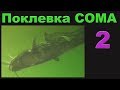 Поклевка Большого СОМА на живца, Подводная Съемка. рыбалка. fishing. Квок, Ловля сома на квок