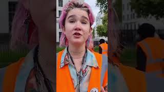 Why are climate activists throwing food at famous artworks?