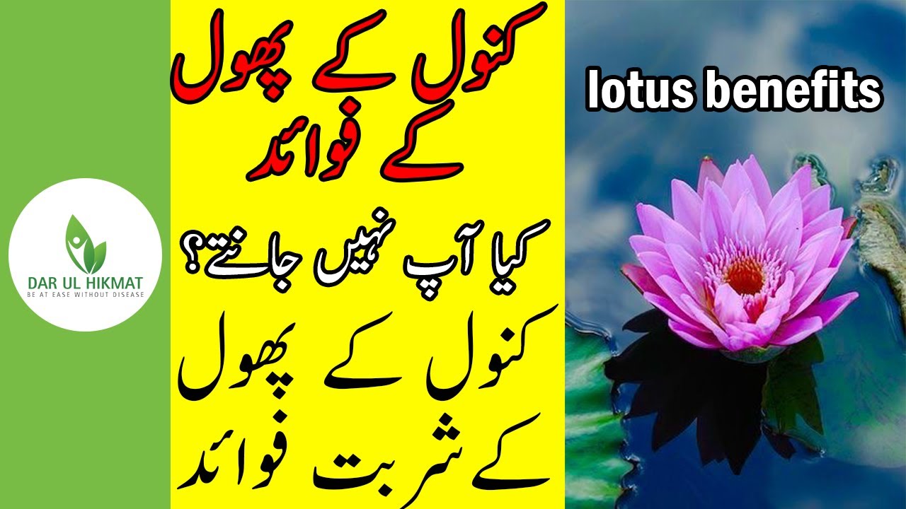 Lotus Urdu Hindi Dar Ul Hikmat
